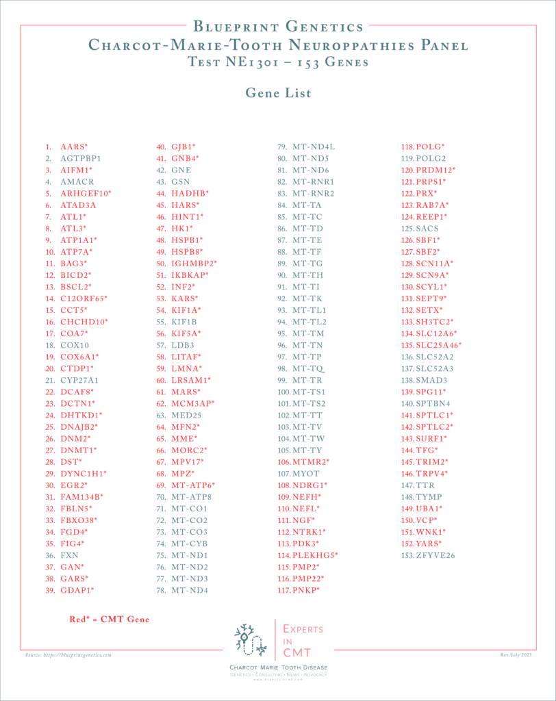 Reference chart titled ‘Blueprint Genetics Charcot-Marie-Tooth Neuropathies Panel Test NE1301 – 153 Genes,’ showing a multi-column list of gene names with CMT-related genes highlighted in red.