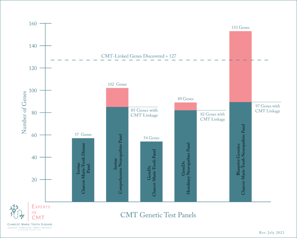 Bar chart comparing Charcot-Marie-Tooth genetic test panels, showing the total number of genes tested and the number with confirmed CMT linkage across five panels.